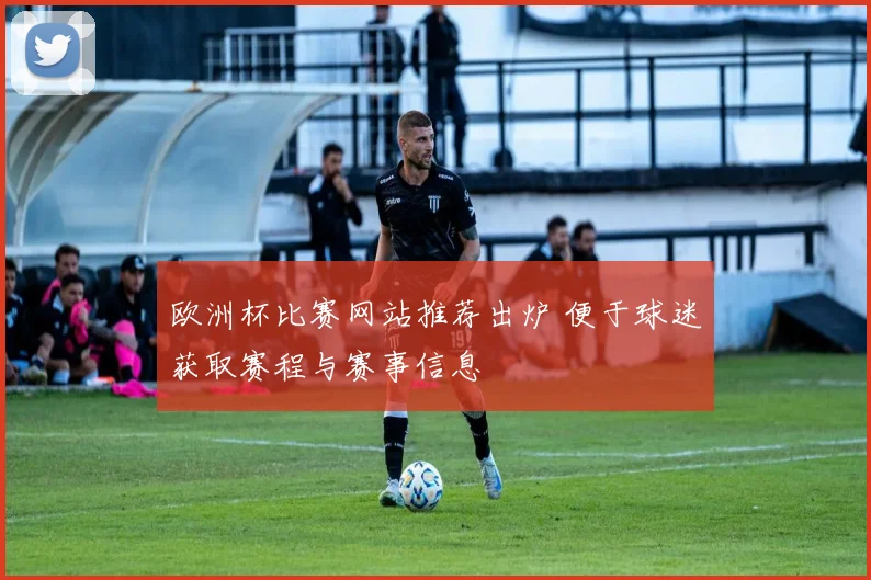 欧洲杯比赛网站推荐出炉 便于球迷获取赛程与赛事信息