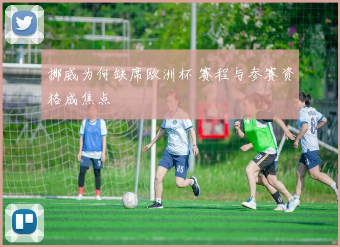 挪威为何缺席欧洲杯 赛程与参赛资格成焦点