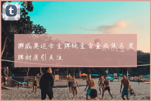 挪威奥运会金牌纯金含量成焦点 奖牌材质引关注